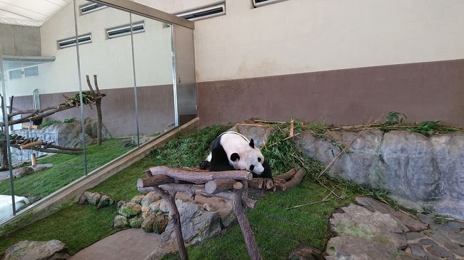 和歌山一周の旅 南紀白浜編 その周辺 南紀白浜 和歌山県 の旅行記 ブログ By ハヤトラさん フォートラベル