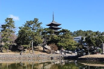 奈良１泊２日一人旅 西大寺 秋篠寺 元興寺 新薬師寺 三月堂 奈良市 奈良県 の旅行記 ブログ By しいかさん フォートラベル