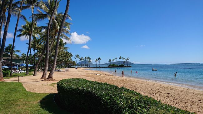 レストランの外の海岸は波も穏やかで、遠浅なのがわかります。とても綺麗な海岸でした。