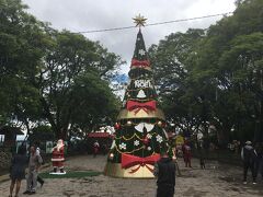 独立広場にはクリスマスツリー