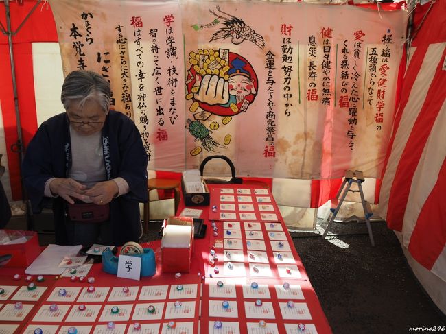 年の初詣 ウインターチューリップ 鎌倉 江の島 鎌倉 神奈川県 の旅行記 ブログ By Morino296さん フォートラベル 年の初詣 ウインターチューリップ 鎌倉 江の島 鎌倉 神奈川県 の旅行記 ブログ By Morino296さん フォートラベル