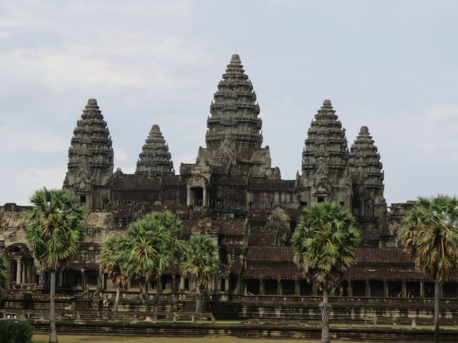 独特の形だよな