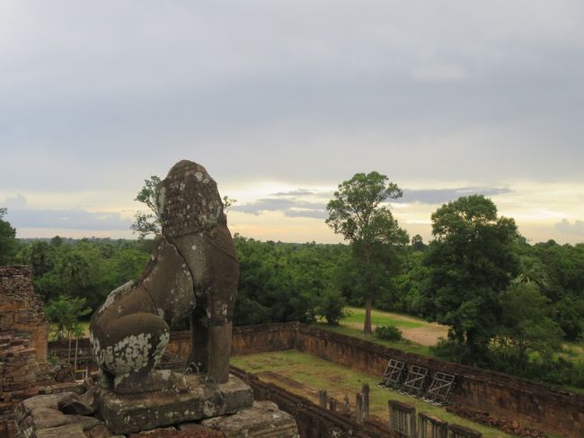 きれいな夕日を想像