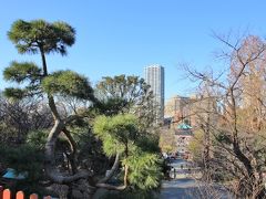 上野駅から東京国立博物館へ向かう途中清水観音堂に立ち寄りました。
清水観音堂の舞台からの眺め