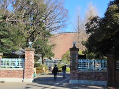 東京芸術大学