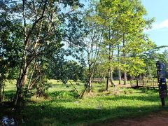 ７時前、バンテアイ・スレイ到着。着いてびっくり。周囲がきれいに整備された遺跡公園になっていた。すごーい。