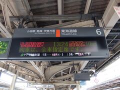 お昼過ぎの横浜駅。
乗車したのはスーパービュー踊り子7号伊豆急下田行き。