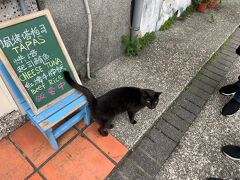 猴トン 猫村（ホウトン マオツゥン）
