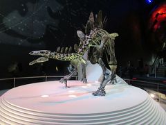 自然史博物館（Natural History Museum）　　
サブエントランスから入りました。こちらもかばんの中を検査して中に入ります。
無料ですが、寄付1人5ポンドと大きく書かれていて、大きなお金を入れる透明な箱があるので、2人で10ポンド入れました。
