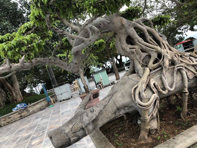 廃物利用の豚？と盆栽