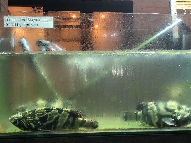 　店の表には水槽があり、魚が泳いでいます。「これ」と指さして料理してもらえるようです。<br />　この魚は何？と、表のガードマンに英語で聞いたつもりですが、理解して貰えませんでした。私の発音の問題？相手の英語力の問題？