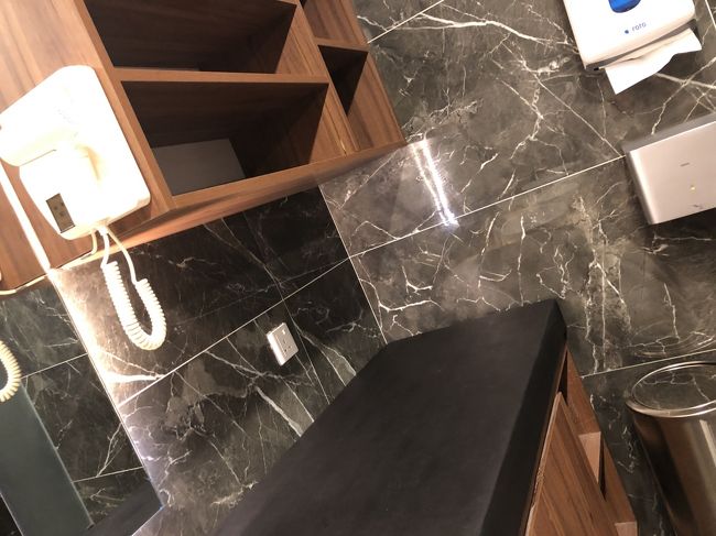 　ドライヤーもありました。でも、風邪をひいたら困ると思って、髪は洗わず。<br />トリートメントも持ってなかったし。