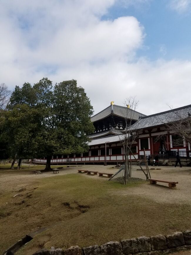 東大寺戒壇堂を見て東に歩くと大仏殿が見えてきました<br />