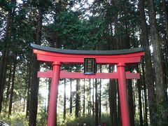 箱根神社に初詣です。

ナビに連れて行かれたのは湖畔の駐車場ではなく、山の中・・(^^;)

この小さい鳥居の小径から向かいます・・