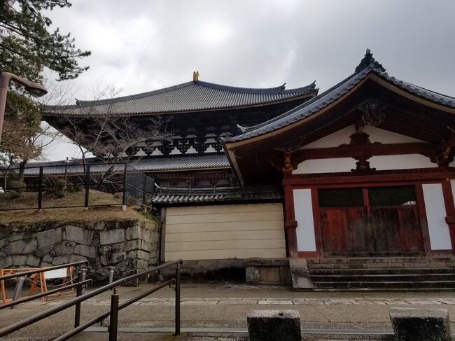 大仏殿を西側から