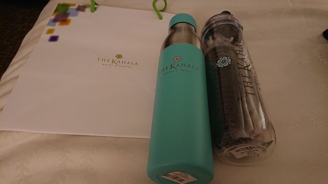ホテルでお買い物したのは保温の出来るロゴ入りの水筒とフルーツや茶葉入れのついているポットを購入。このあとのお出掛けに冷たい飲み物を入れて歩きました。