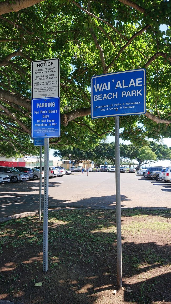 ビーチパークの駐車場も車がいっぱい停まっていました。