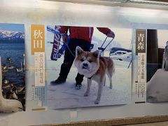 中山駅