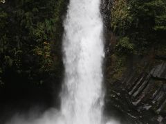 浄蓮の滝（じょうれんのたき）は、高さ25メートル、幅7メートル、滝壺の深さは15メートルもあり、エメラルド色に輝く大滝です。水量も多く、激しい音とともに滝壺に落ちていく様は迫力があり、見応え十分。駐車場から滝まで往復しても30分程度で見学することができます。また、日本では熊本県と浄蓮の滝周辺にしか自生が確認されていない県指定天然記念物ジョウレンシダ（ハイコモチシダ）の群生地があり、豊かな水の森を演出しています。滝周辺には、つい鼻歌が出てしまう有名な「天城越え」の石碑やマス釣り場などがあり、家族連れで訪れても楽しく過ごせるスポットです。
