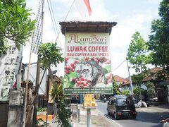 Luwak Coffee ジャコウネコのコーヒー農園に
