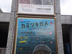 千葉県立中央博物館の企画展の案内