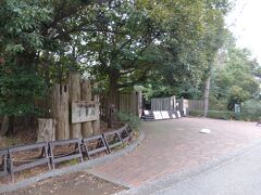 青葉の森公園内の千葉県立中央博物館生態園