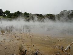 少し歩いてクイラウ公園。温泉池などの地熱活動を見ることができます。