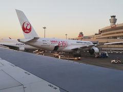 おっと、隣にＡ３５０が☆
これに乗りたい☆笑