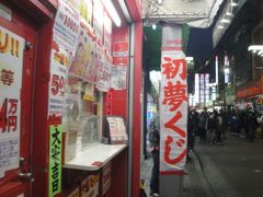 　初夢くじ購入しました。