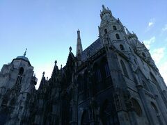 シュテファン大聖堂。たくさんの人でごった返していました（私もその一人）。
たいへん大きいですが、ウィーンの街同様、穏やかで不思議と威圧感はありませんでした。