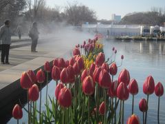 さて､上野公園を歩いていると先ほどの竹の台噴水の池の水からモクモクと煙が…
すぐに煙は止まってしまいましたが､何の煙だったんだろう？