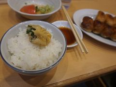 ●ホワイト餃子

餃子大好き人間にとっては、是非とも食べておかなくてはいけない一品です。
皮は厚めですが、中は野菜も沢山入ってジューシー。
美味しいですね。
ビールが欲しくなりますが、汗をいっぱいかきそうなので、今回は我慢しました。
ごちそうさまでした！