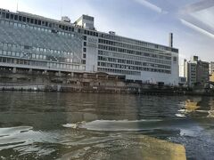 天満橋をくぐり、左手に天満橋駅長直結の京阪シティモール
あとでまたまた来る桟橋