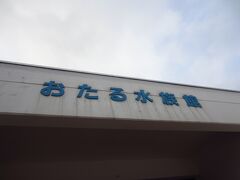 到着。チケット購入の列に並びます。1日乗車券またはホテルのロビーにおかれていた割引券を使用すると100円引きとなります。