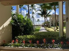 お隣のハレクラニ様に向かいます～～
本日はただの散歩では無く
ぎっちゃん様ご夫妻との待ち合わせです
