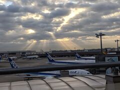 羽田空港で待ち合わせ。
ラウンジからの景色、雲の隙間から差し込む朝日がとてもきれいでした。