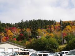 カミホロ荘の駐車場から見上げた紅葉