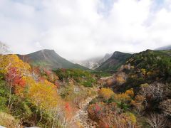 凌雲閣から見る紅葉