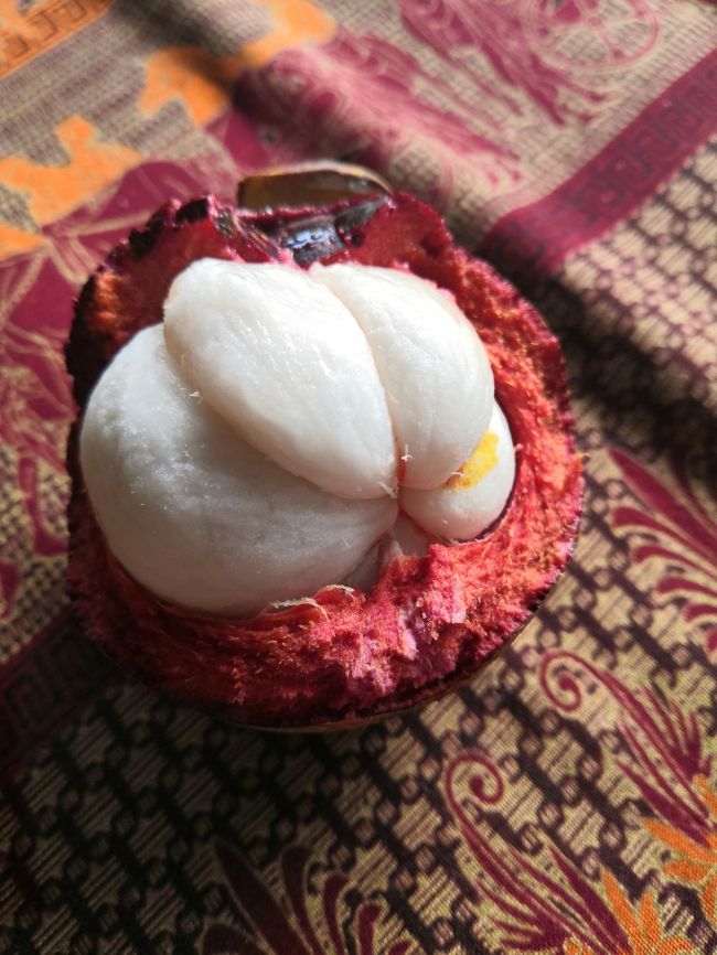 フルーツの女王様　マンゴスチン<br />インドネシア語ではマンギスといいます。<br />食べごろが難しいので、<br />売り場の人に選んでもらうと間違いは少ないです。