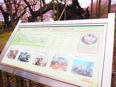 お次の桜は
実相寺の境内にある日本三大桜の一つ「山高神代桜」
