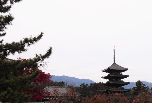 五重塔が見えてきました。