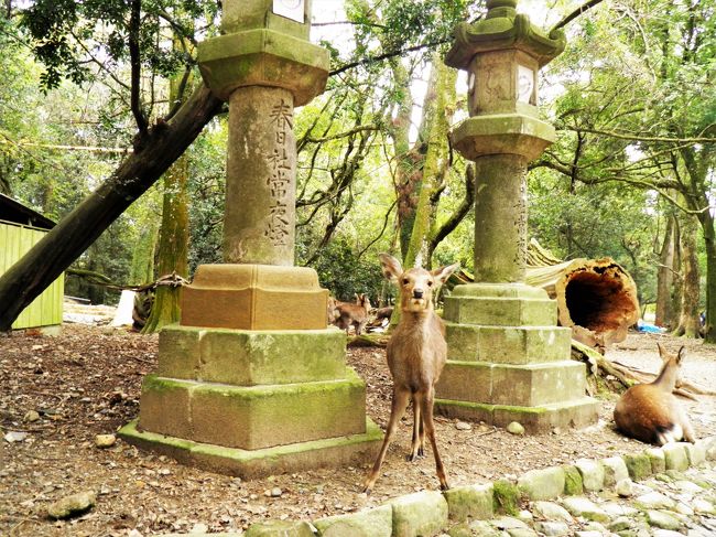 上手に立てたね。