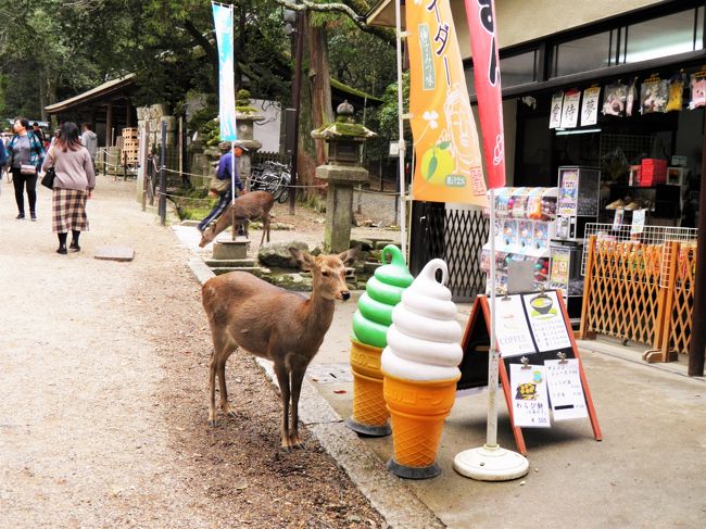 ソフトクリームの使い、降臨。