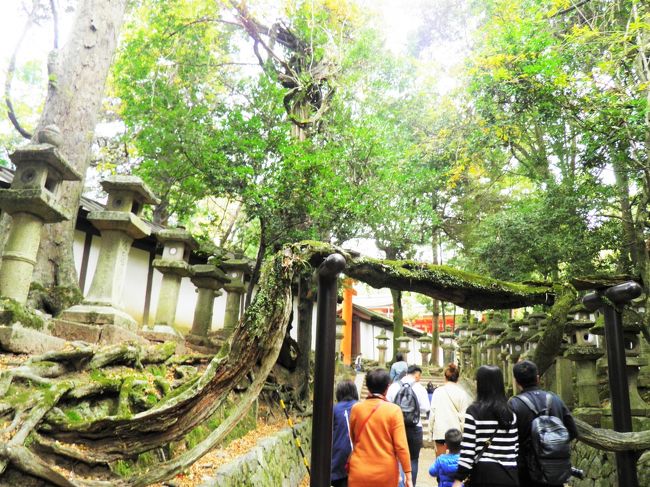 毎回すごいなと思う。