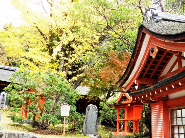 お参りしたあとは