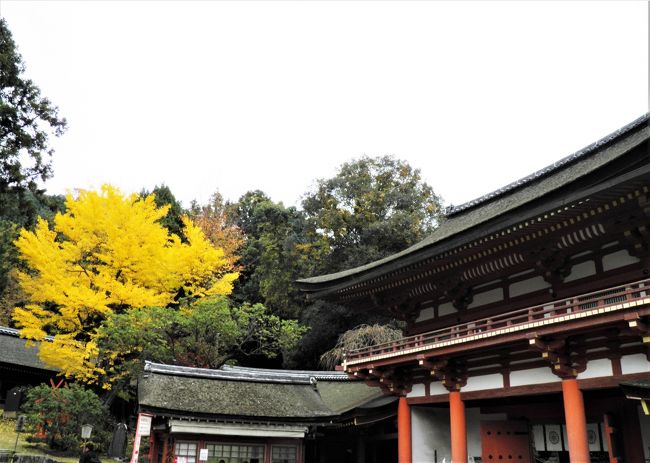 御朱印をいただきました。