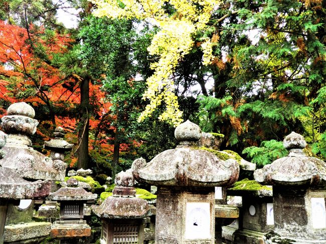 撮る方も悪いんだろうけど、なんだかなぁ。。。