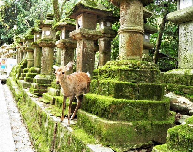 さ、ご飯食べに行こ。