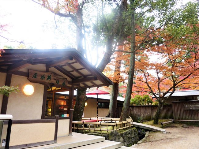 お気に入りの春日荷茶屋へ。