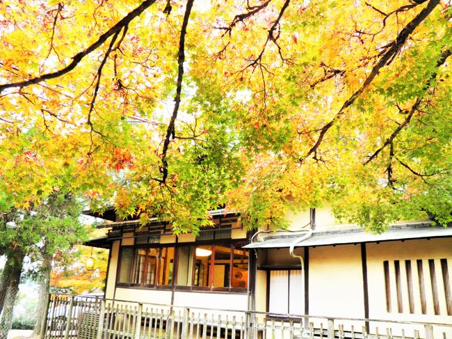 またまた、江戸三方面に。